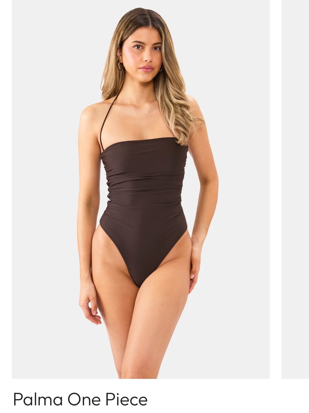 Palma Strapless One-Piece Swimsuit brown